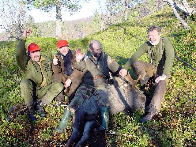 Gustav, Harry, Odd og Arnfinn triumferer