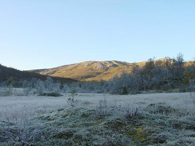 Rimfrost på Elvnesmyra