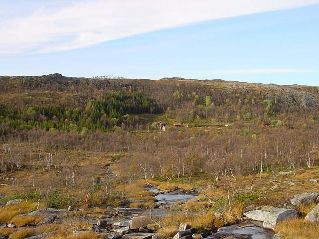 Kroklielva