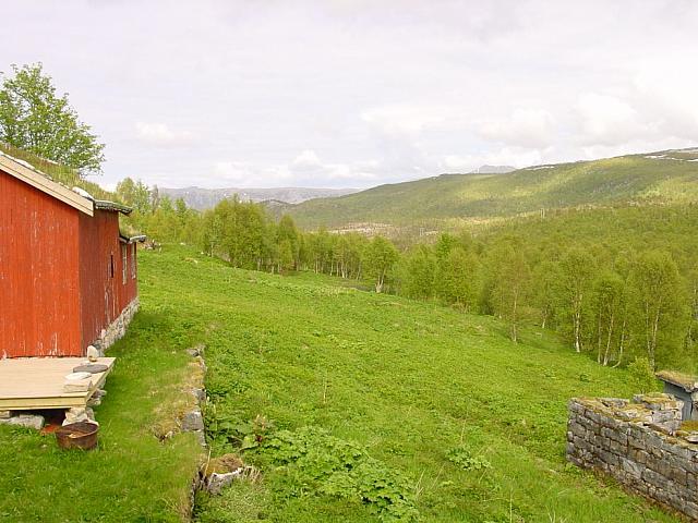 Grønnere kan det ikke bli