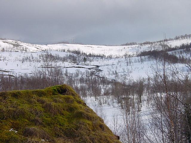 Åpen elv