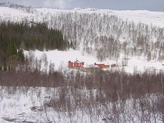 Birkeli i vinterdrakt