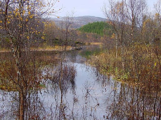Elva er stor i Djuposen