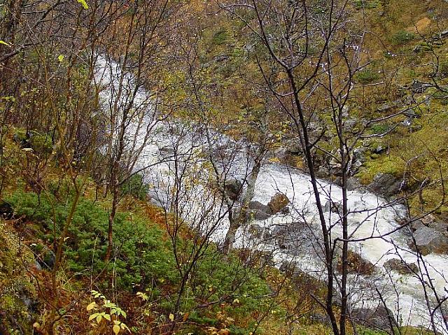 Nesten som fløying i gamle dager i Sørvikstrykene