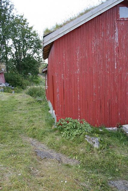 Og sjågnåva