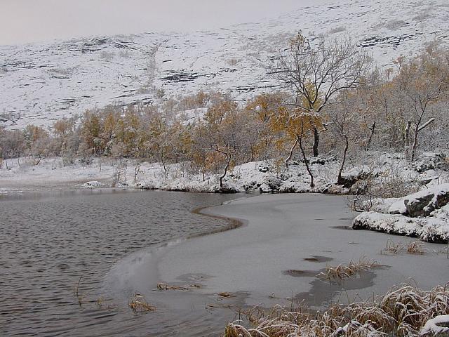DSC08249_25cm_144dpi.jpg