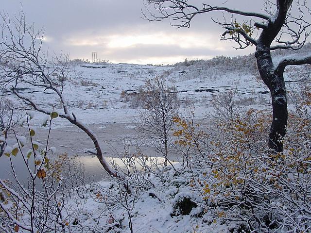 DSC08251_25cm_144dpi.jpg