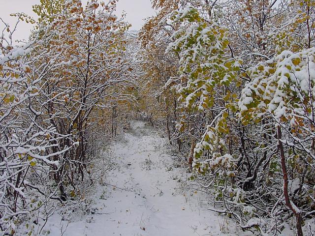 DSC08252_25cm_144dpi.jpg
