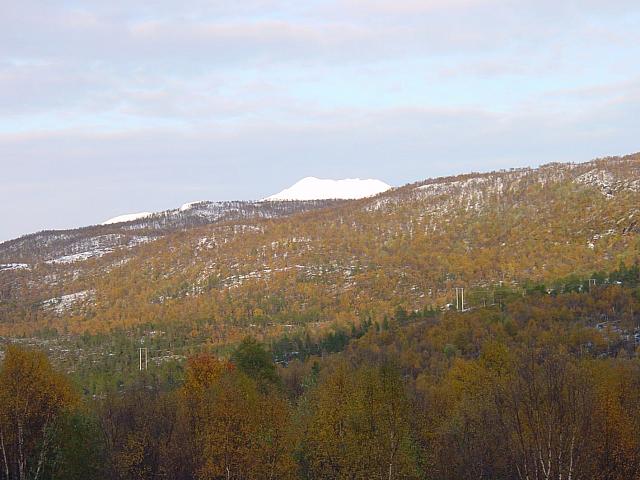 DSC08292_25cm_144dpi.jpg