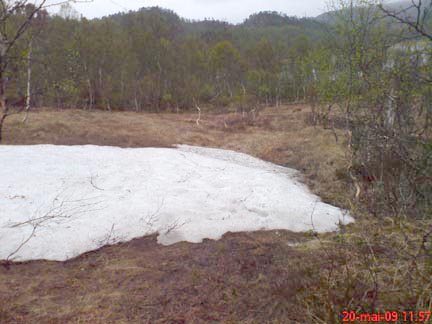 Snø på stien