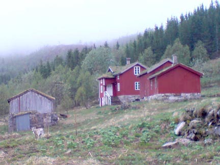 Rein på innmarka
