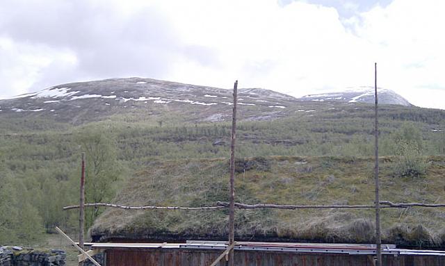 IMAG0033_25cm.jpg