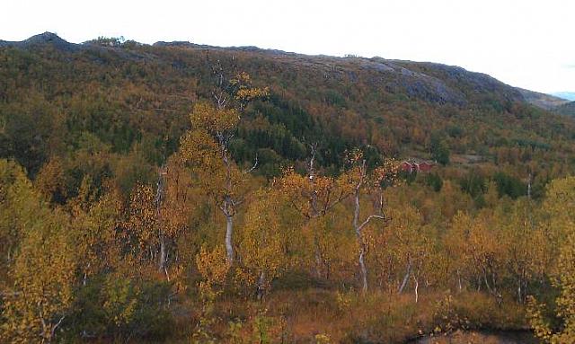 IMAG0157_25cm.jpg