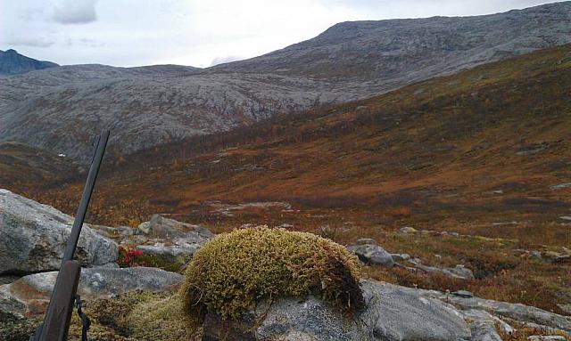 IMAG0177_25cm100dpi.jpg