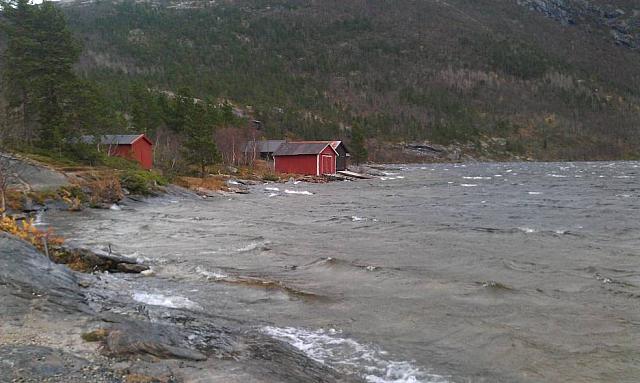 IMAG0207_25cm100dpi.jpg