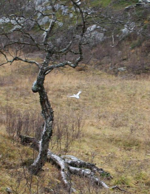 IMG_6973_crop-25cm.jpg
