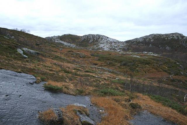 Ute av skogen