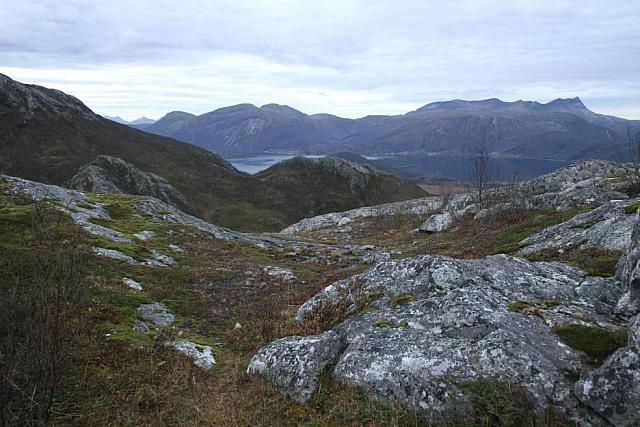 IMG_6983_25cm100dpi.jpg