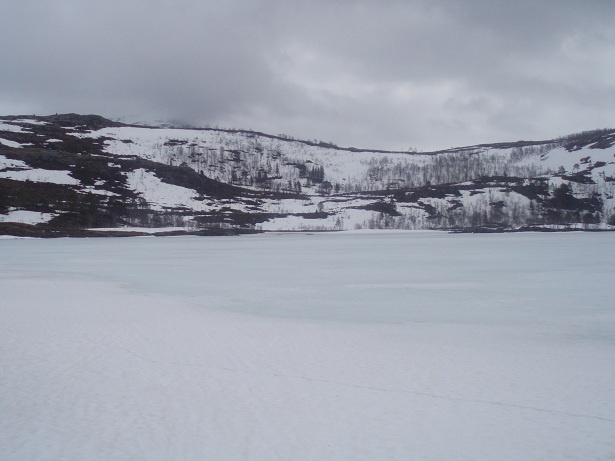 P1010863.JPG