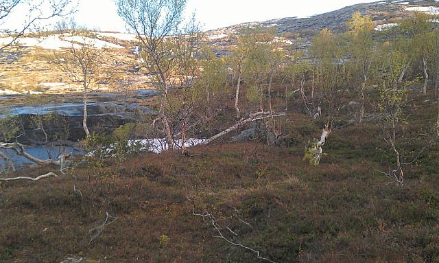 Ågvasskredet-III