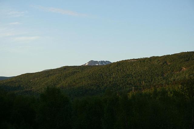 IMG_7624_25cm100dpi.jpg