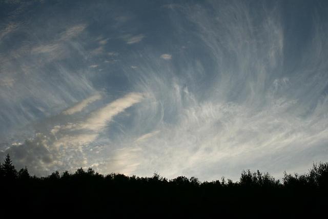 IMG_7626_25cm100dpi.jpg