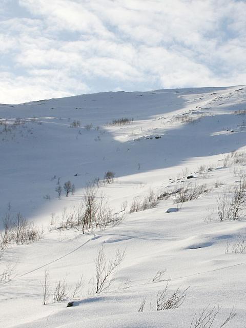 Før skredet