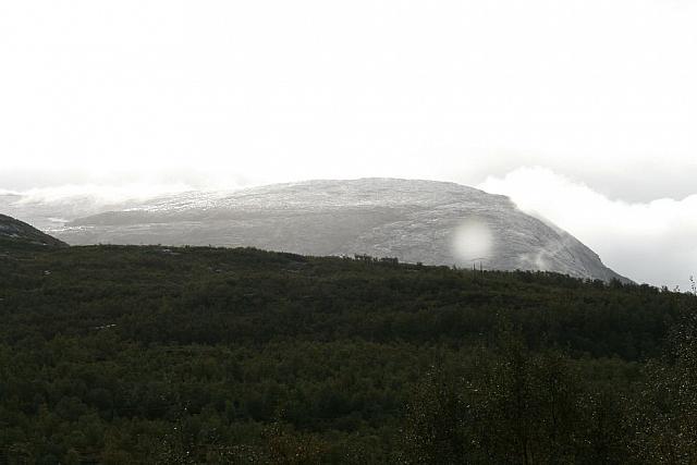 IMG_7891_25cm-100dpi.jpg