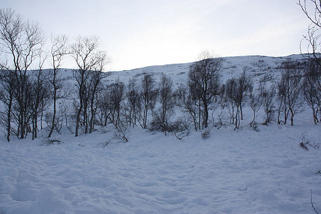 IMG_2467_25cm100ppi.jpg