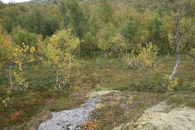 IMG_7921_25cm.jpg