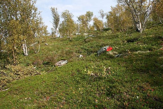 IMG_7950_25cm.jpg