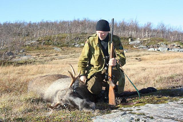 Harald med oksen