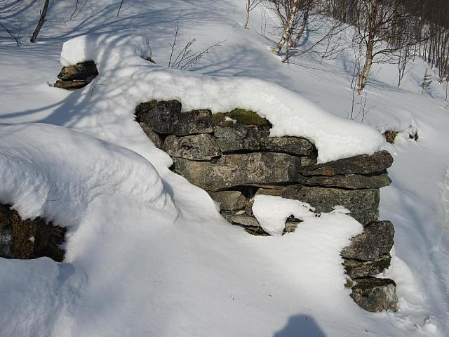 IMG 0429[1] 25cm