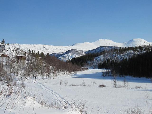 IMG 0432[1] 25cm