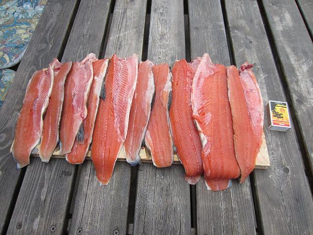 IMG 0670[1] 25cm