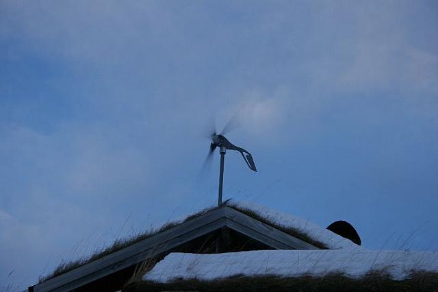 IMG 8065 25cm