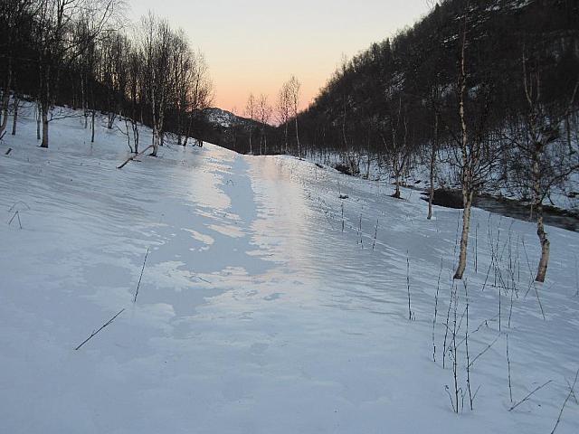 IMG 1029[1] 25cm