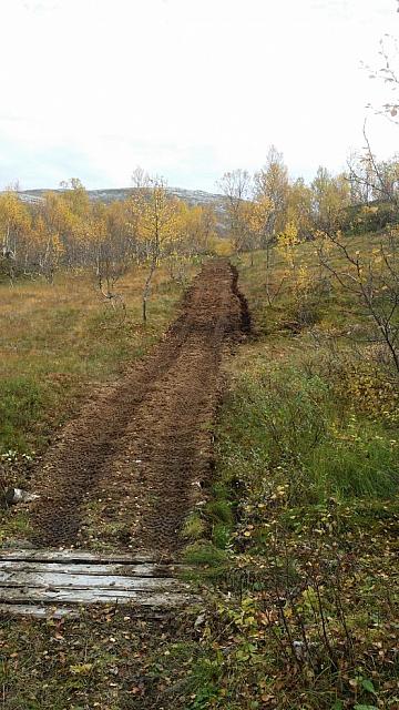 Bakkemyra nedenfra