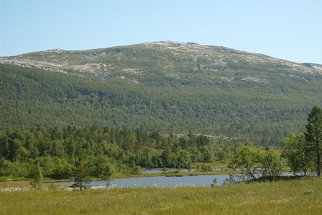Birkeli 28 juli 2011 014