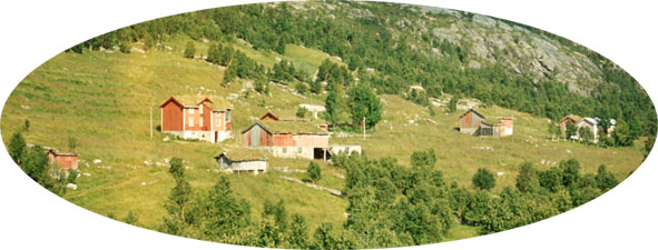 Birkeli-1965_15cm