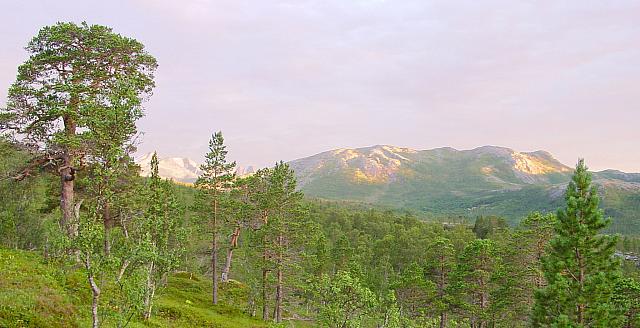 DC02932_utsnitt.jpg