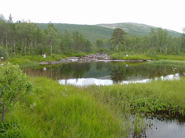 ElvkjeftenRedDSC02917.jpg