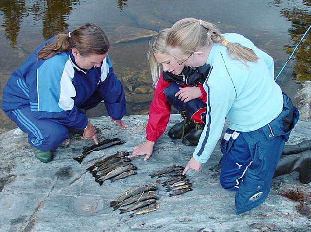 HeleneKimMariEvaFangstUtsnDSC02921.jpg