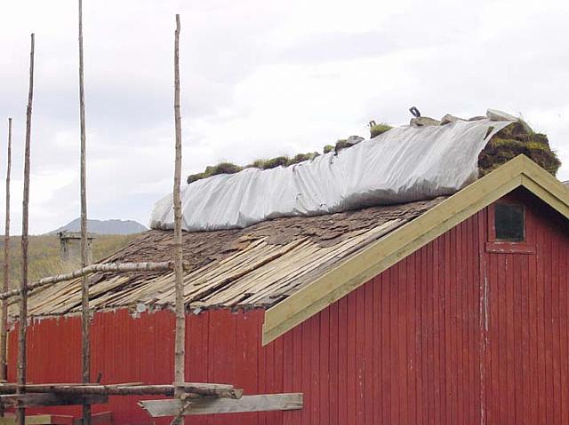 TorvPaaSjaagMoenet_DSC04970_25cm.jpg