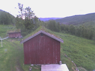 Gråmikkel