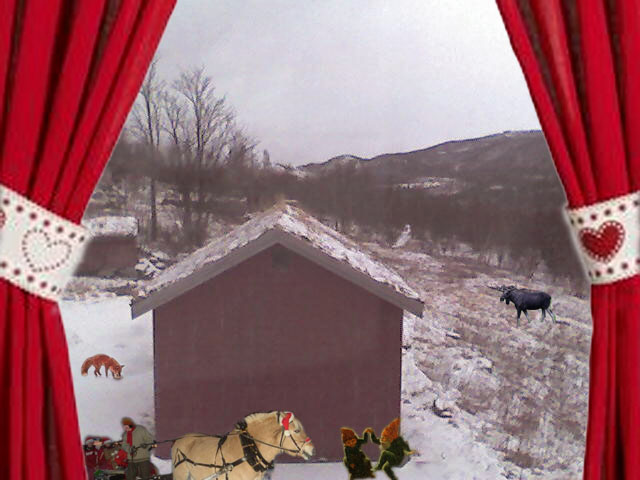 kroklicam201112241400_mednokoattil