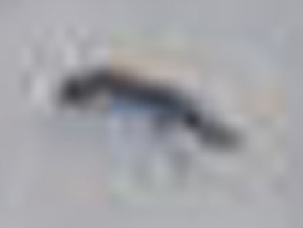 kroklicam201202121006_crop