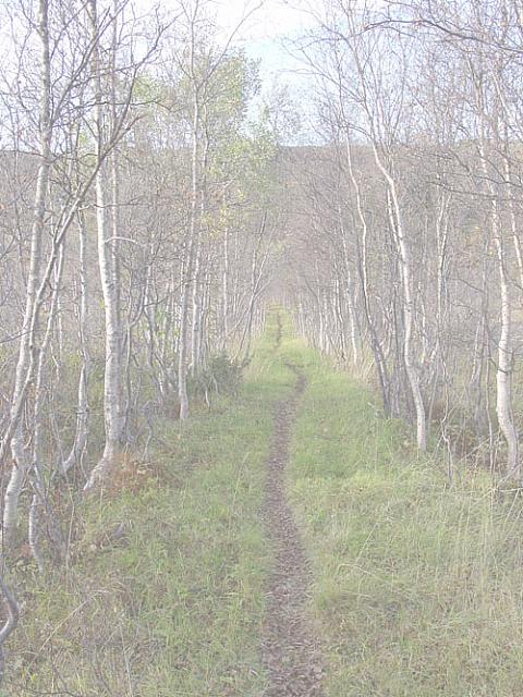 Hoesttegn