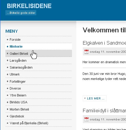 MenyGalleriBirkeli