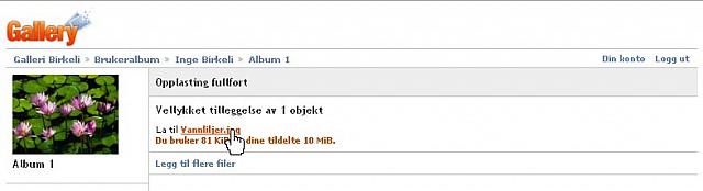 OpplastingFullfoert.jpg